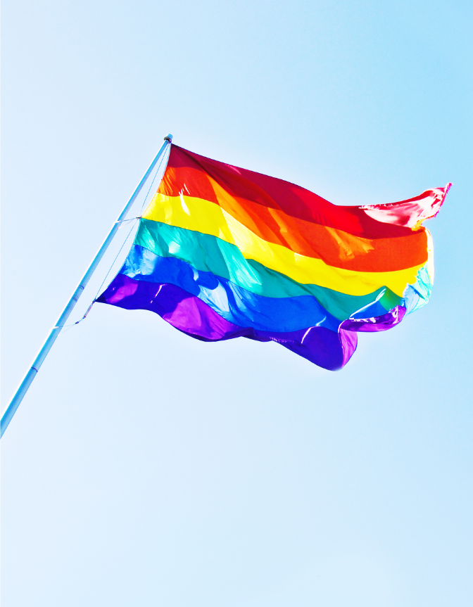 LGBTQ+ pride flag. dapperboi.com